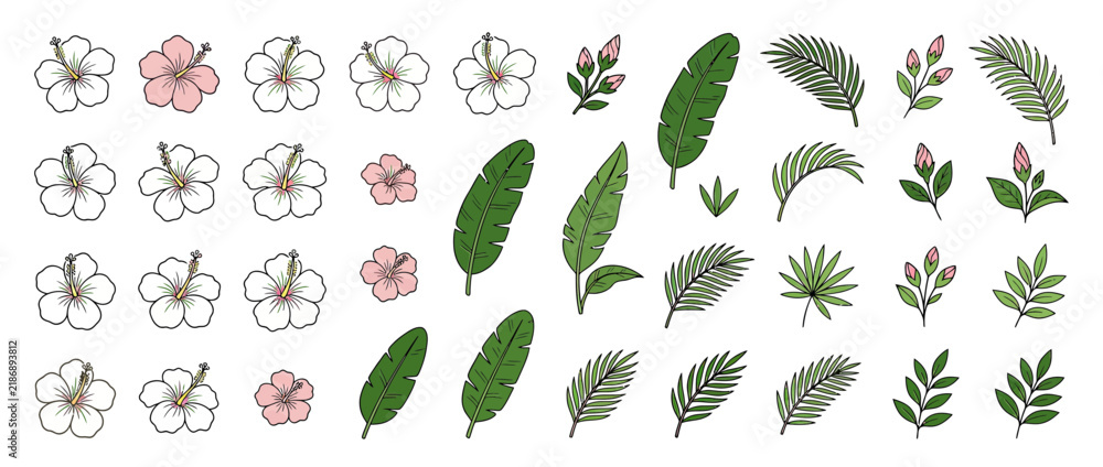 Obraz premium Tropical Flowers and Leaves Illustration Collection Isolated