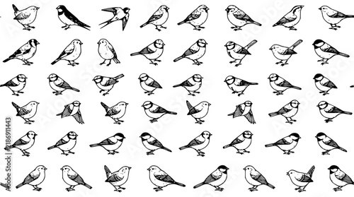 Seamless pattern of intricate black and white line art fea set with simple line art design featuring sketches, drawings, vector graphics with minimalist and simple illustrations