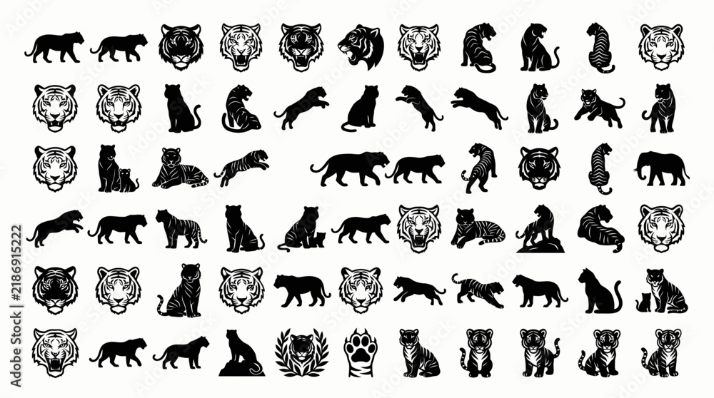Fototapeta premium A big collections of tiger and tiger cubs vector and silhouettes 