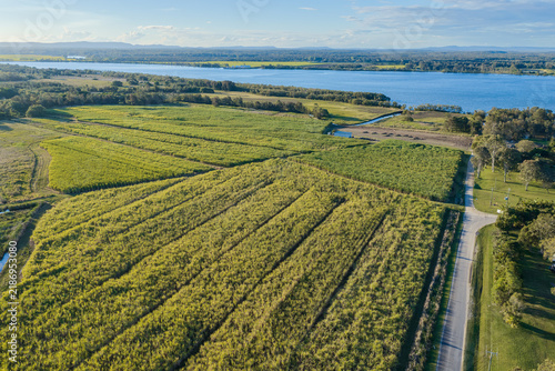 Quadro su tela Description: Aerial view of a green sugar cane field at Palmers Island near Yamba, with the Clarence River and surrounding rural landscape visible in the background