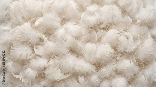 Close-up view of soft white feathers texture for style creative projects
