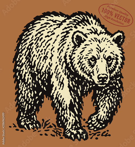 Retro vector illustration of a grizzly bear
