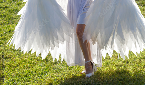 Fotografie White wings spread wide on green grass