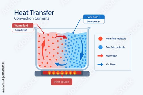 Heat transfer and convection currents, warm and cool fluid molecules energy movement cycle scheme, labeled diagram with heated liquid container, flow arrows and diagram key, vector illustration