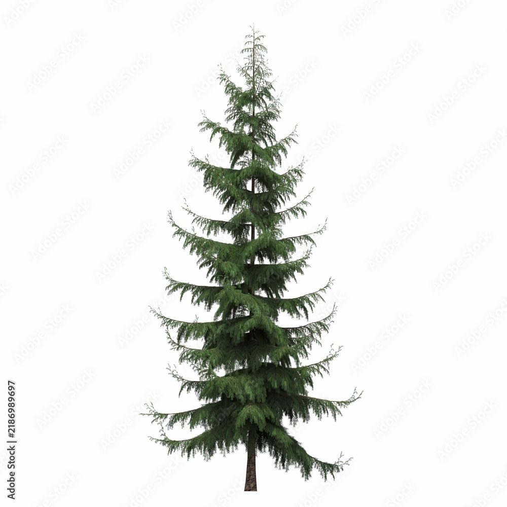 Obraz premium tree, isolated on white background, 3D illustration, cg render