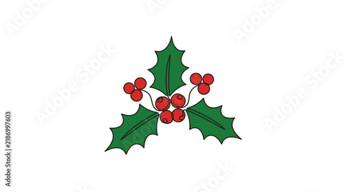 Holly sprig with green leaves and red berries is isolated on a white background.