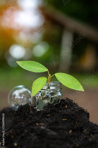 savings, finance, investment, sustainability, and economic growth.