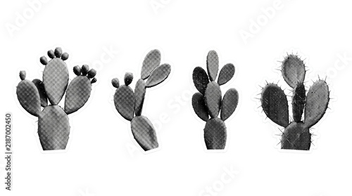 prickly pear cactus retro halftone set , clean white border outline PNG