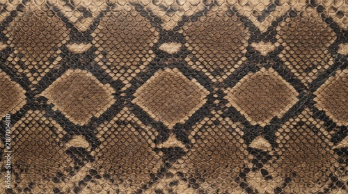 Continuous snake skin design with python scale pattern and reptile texture