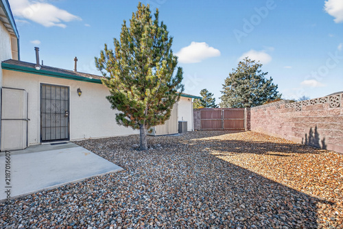Residential backyard view with tall pine tree, gravel landscaping, stucco wall, entry gate, blue sky