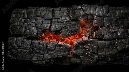 Grunge aesthetic burned wood surface texture with charcoal details against a black background