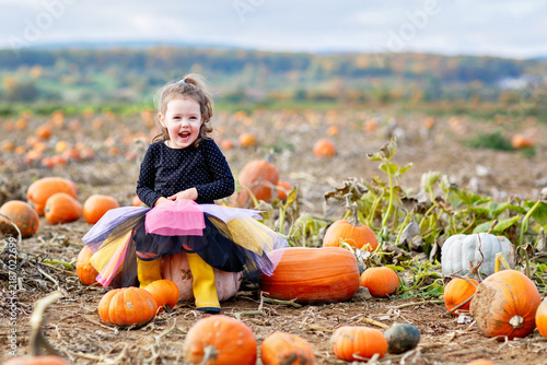 фотографія Little girl in witch costume on pumpkin patch field in autumn