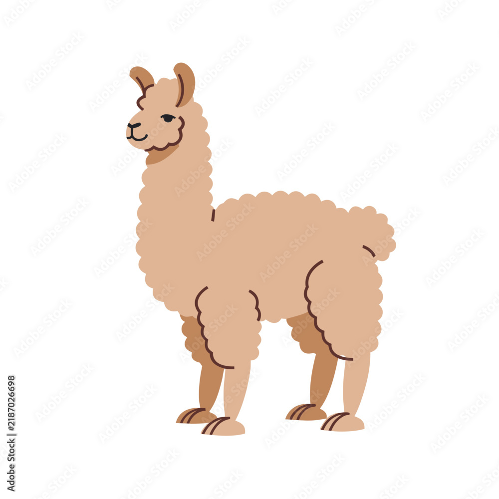 Fototapeta premium Cute Alpaca Cartoon Vector Illustration Isolated on White Background, Adorable Baby Wild Animal Character for Zoo, Safari, Nature, Children, and Fun Design Concepts