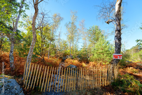 Fotografía After wildfire, wooden barrier and  Forest Access Prohibited