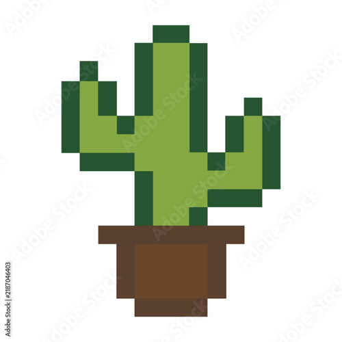 green Cactus symbol