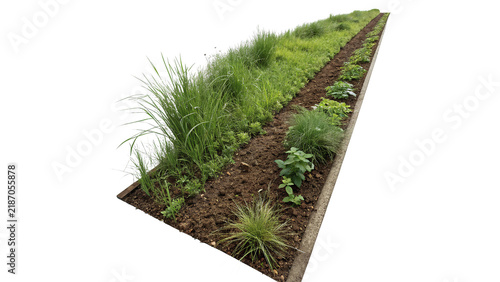 Long straight patch of green garden soil lawn turf isolated on transparent background