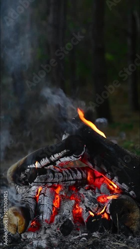 Campfire glowing intensely in the woods with warm embers and smoke. Seamless loop of an intense campfire in the forest with glowing embers. Atmospheric video asset for creative projects.