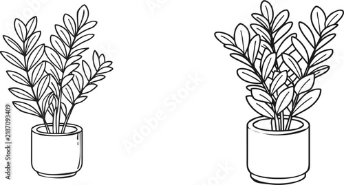 A ZZ plant thrives gracefully in a sleek, minimalist ceramic pot against a pristine white backdrop