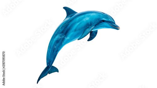 Foto Vibrant blue plastic toy dolphin marine animal figurine isolated on transparent