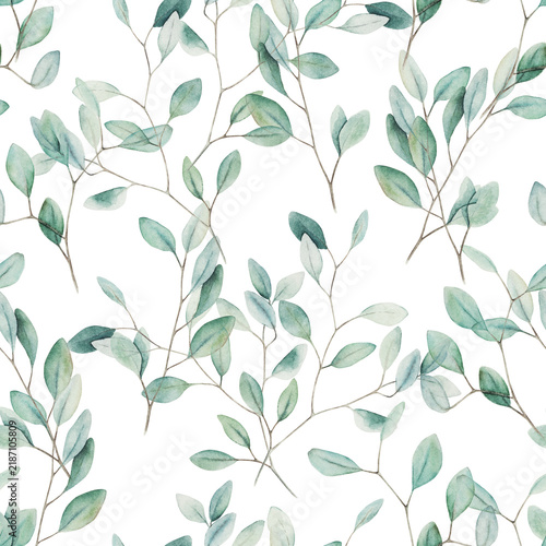 Watercolor seamless pattern with eucalyptus branches . Hand drawn illustration on white background