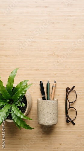 Overhead view of a minimalist wooden desk with a green plant, pen holder with pens, and eyeglasses, creating a clean and organized workspace.
