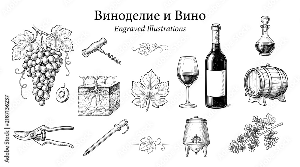Obraz premium Engraved illustrations of wine and vineyards showcasing various elements of winemaking process