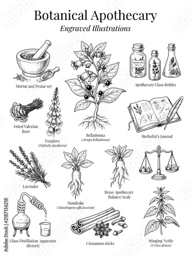 Engraved illustrations of botanical apothecary with various plants and equipment
