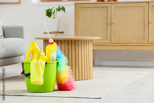 Set of cleaning supplies on carpet in living room