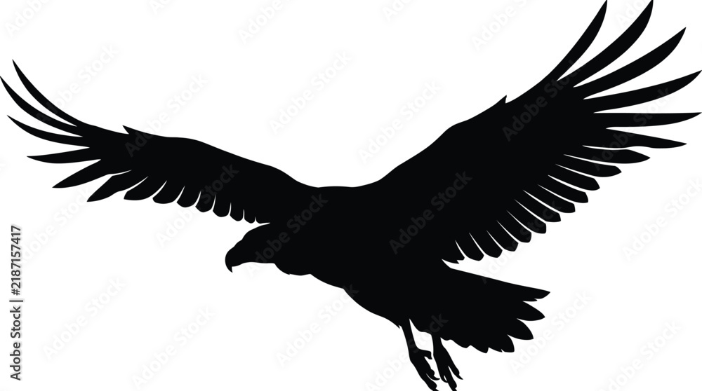Obraz premium Eagle silhouette soars with outstretched wings against a clean and stark white background surface.