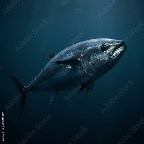 Deep Sea Fish Swimming in Ocean Waters.