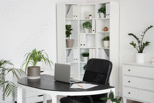 Laptop with plant on desk in light office