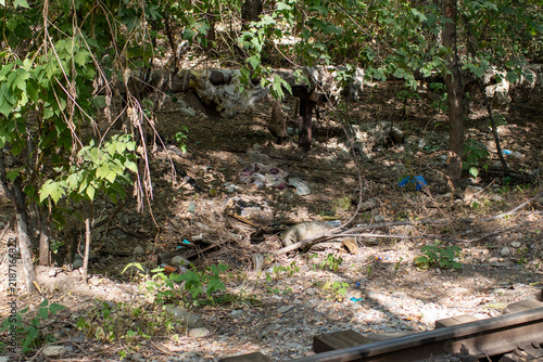 Konstfotografi Litter and discarded waste scattered beneath trees near an old insulated pipeline, showing environmental neglect and pollution