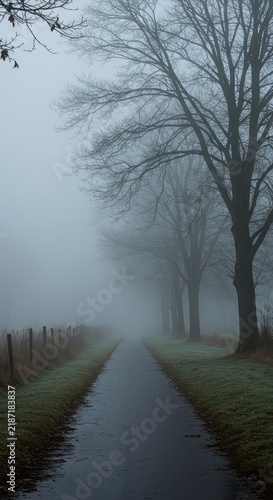 Dense, heavy seasonal fog obscuring a quiet landscape. The atmosphere is damp, cold, and mysterious, suggesting deep winter weather ,obscured ,season ,field