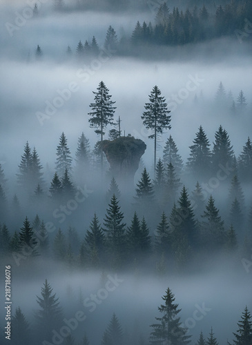 Mystical misty forest landscape, magical floating rock island with pine trees in fog, atmospheric blue tones, fantasy nature background, dark ethereal winter woodland scene