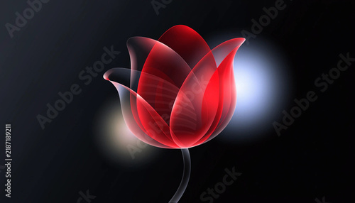 red hot chili pepper