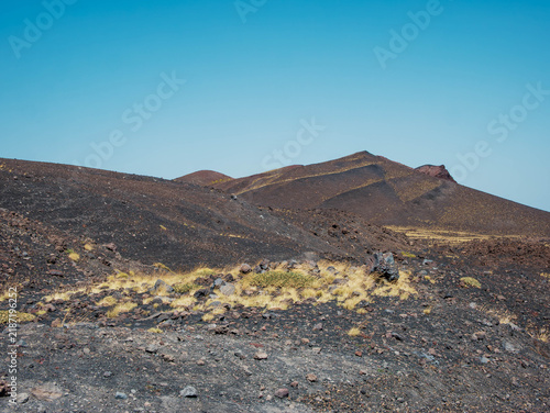 Fotografía Volcanic slope of Mount Etna with pioneer plants growing on black ash and gravel, Sicily Italy