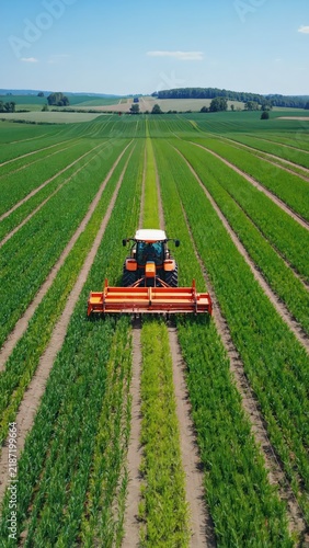 Agricultural Harvesting: Modern Tractor Cultivating Rows of Green Crop Field Under Bright Summer Sky