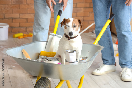 Canvas Print Mature couple with dog and trolley during repair in room, closeup