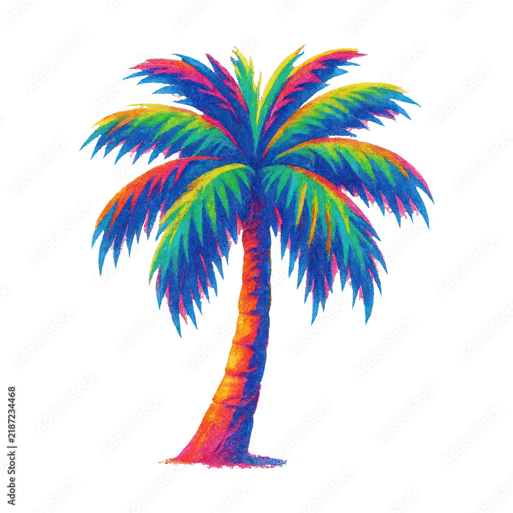 Obraz premium PNG Vibrant tropical palm illustration