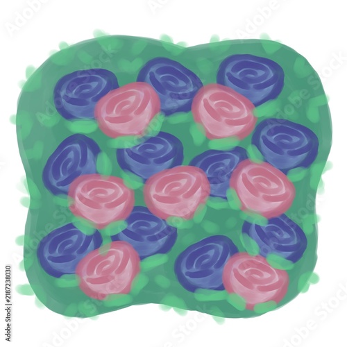 blue and red roses
