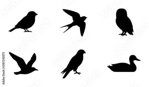 Six Bird Silhouettes Collection: Sparrow, Swallow, Owl, Seagull, Hawk, Duck Icons