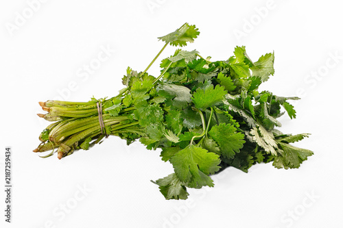 Konstfotografi Fresh green cilantro bunch tied with string on white background, vibrant leaves
