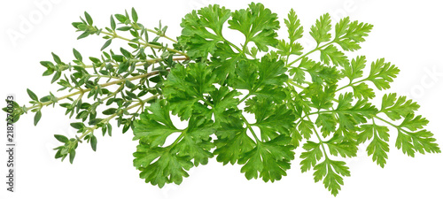 Bild auf Leinwand Fresh green parsley and chervil bundle on black background.