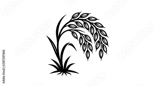 Black and white rice plant stalks silhouette.