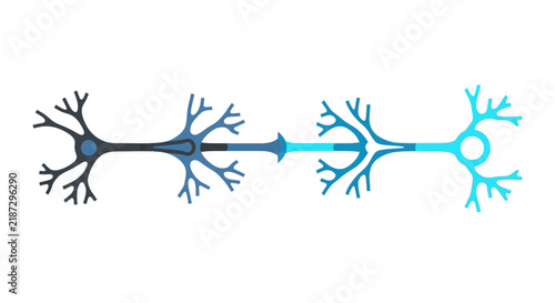 Flat Vector Illustration of Human Neuron and Synapse Connection