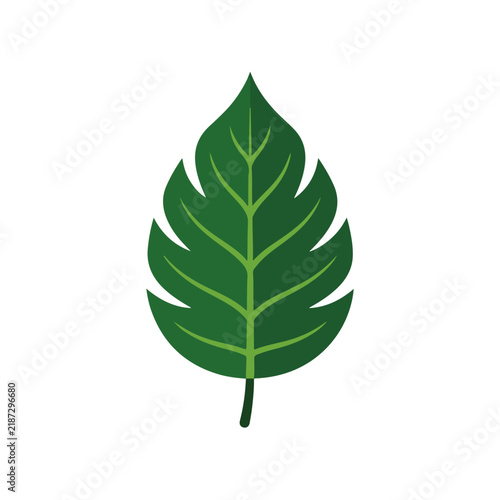 Green Leaf Flat Vector Illustration on White Background