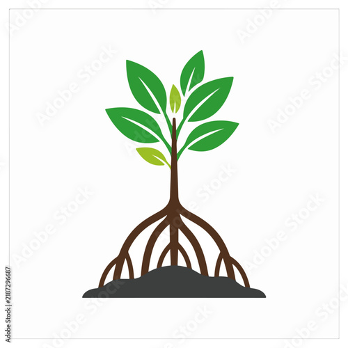Green Plant Seedling with Roots in Soil Vector Illustration