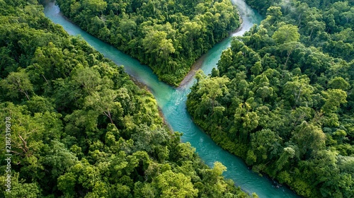 Rainforest river aerial forest jungle tropical water green nature landscape aerial view of winding river through dense tropical rainforest with lush canopy, remote wilderness, vibrant green