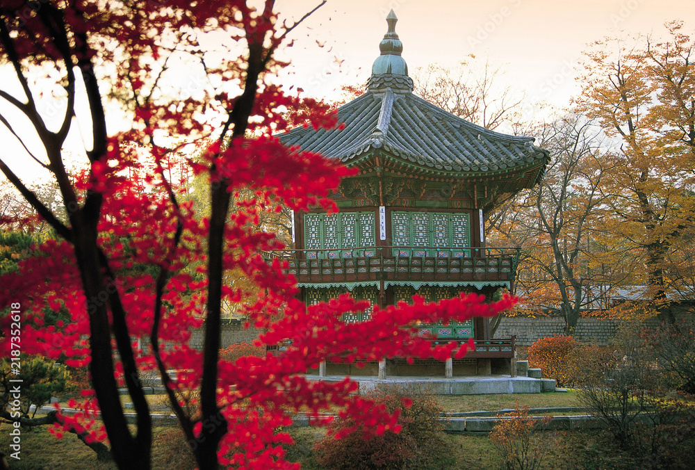 Obraz premium 단풍,단풍나무,향원정,경복궁,종로구,종로구,서울