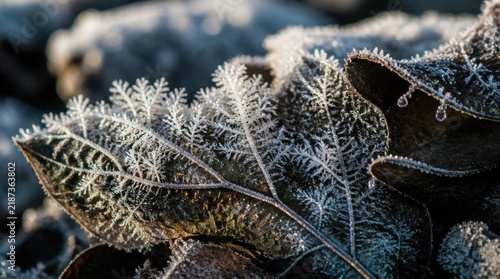 Macro view of frozen leaf covered in delicate sparkling ice crystals during winter morning